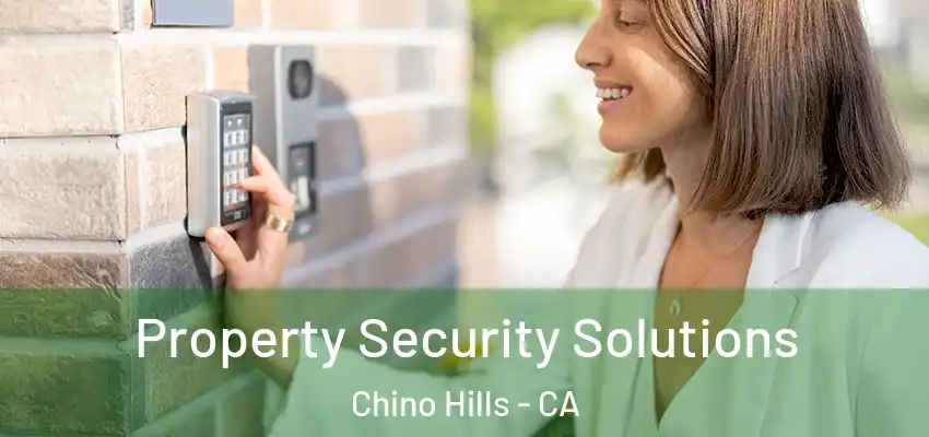  Property Security Solutions Chino Hills - CA